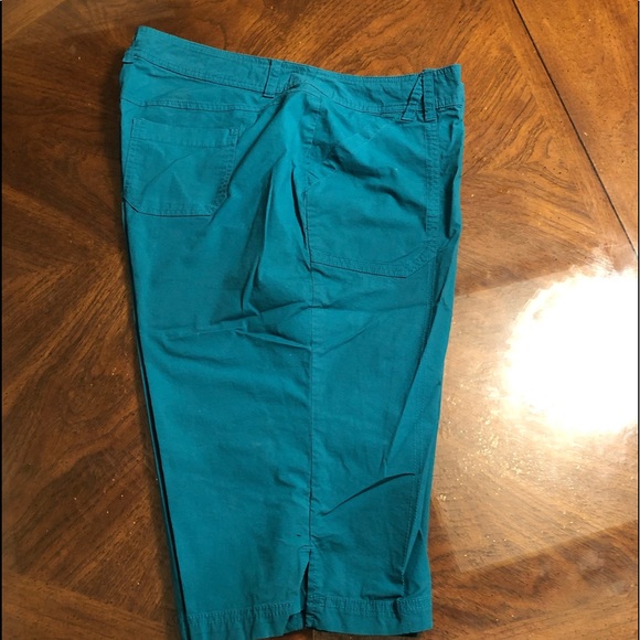 Lane Bryant Shorts - Picture 4 of 6